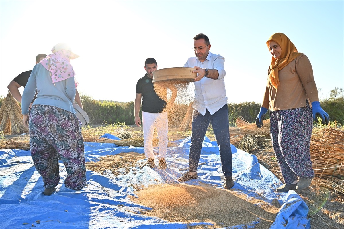 Antalya'nın Manavgat ilçesinde yağ oranı ve aromasıyla coğrafi işaret tescili alan Manavgat...