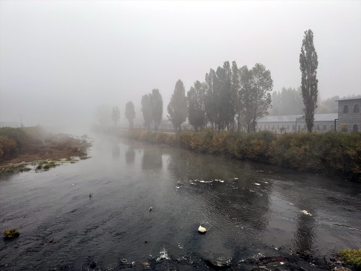 Ardahan'da etkili olan sis görüş mesafesini düşürdü.