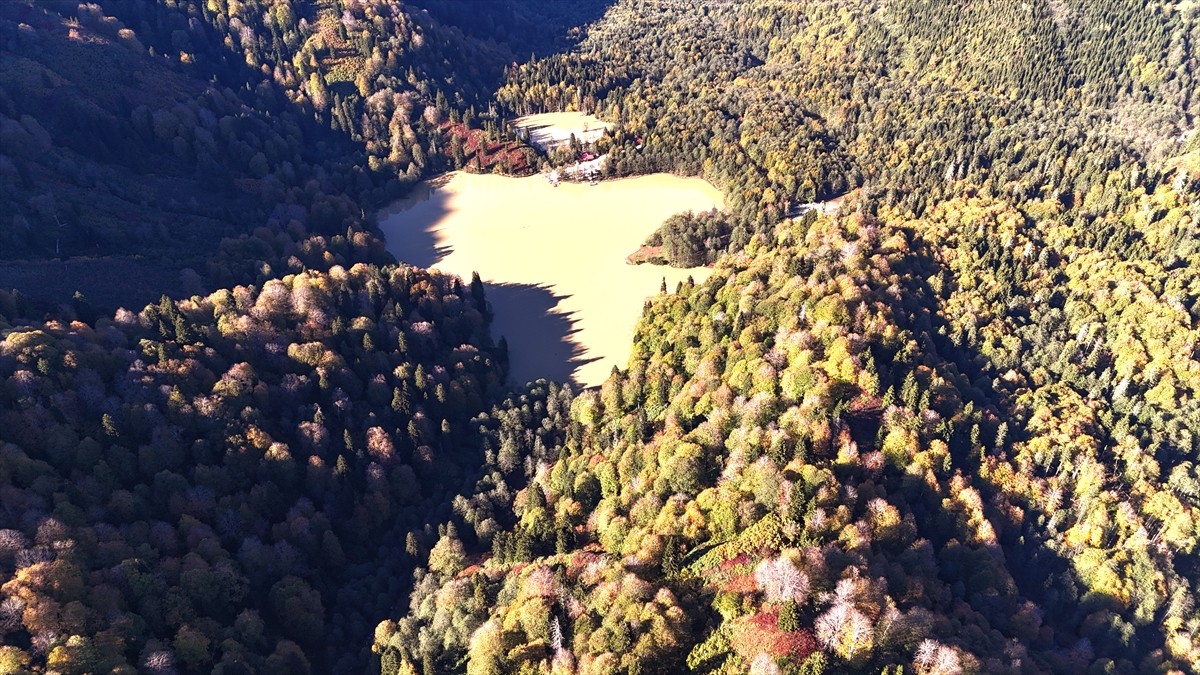 Artvin'in Borçka ilçesindeki Borçka Karagöl Tabiat Parkı, ziyaretçilerini sonbaharın hakim...