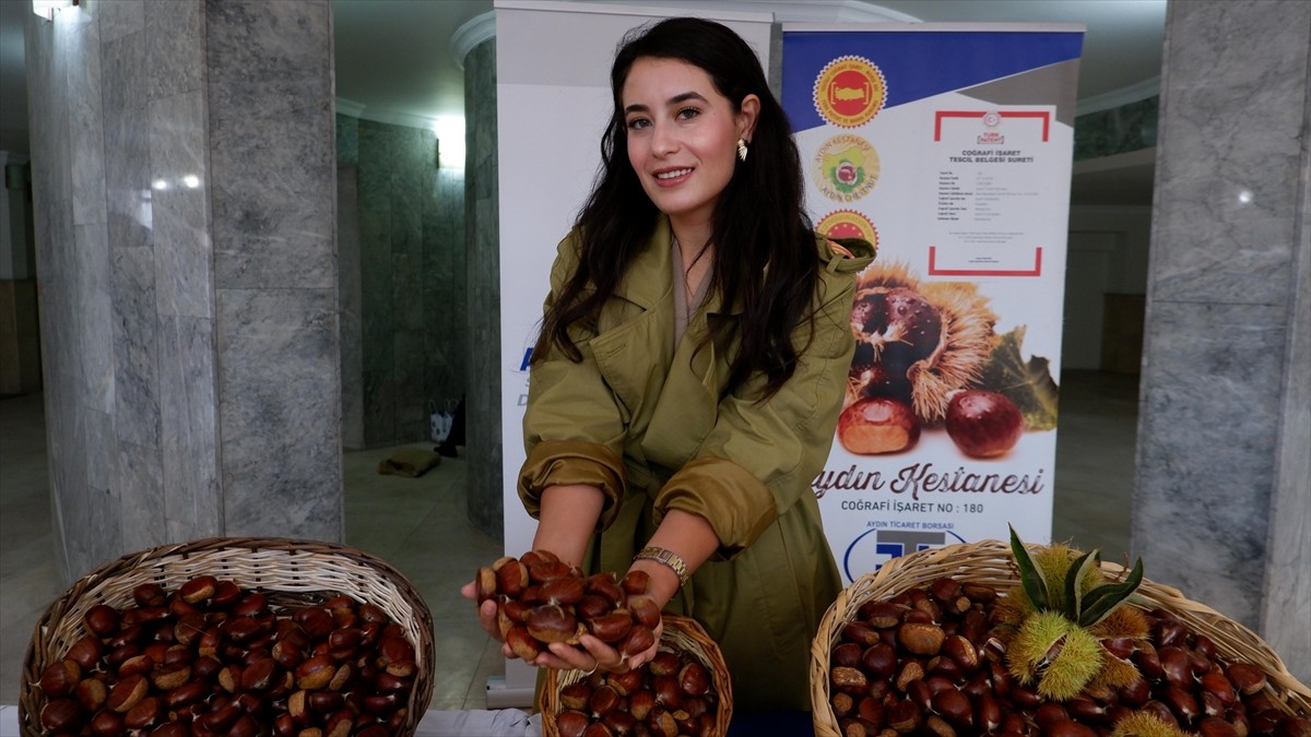 Aydın'da sezonun ilk kestaneleri sembolik olarak kilogramı 550 liradan satın alındı. Aydın Ticaret...
