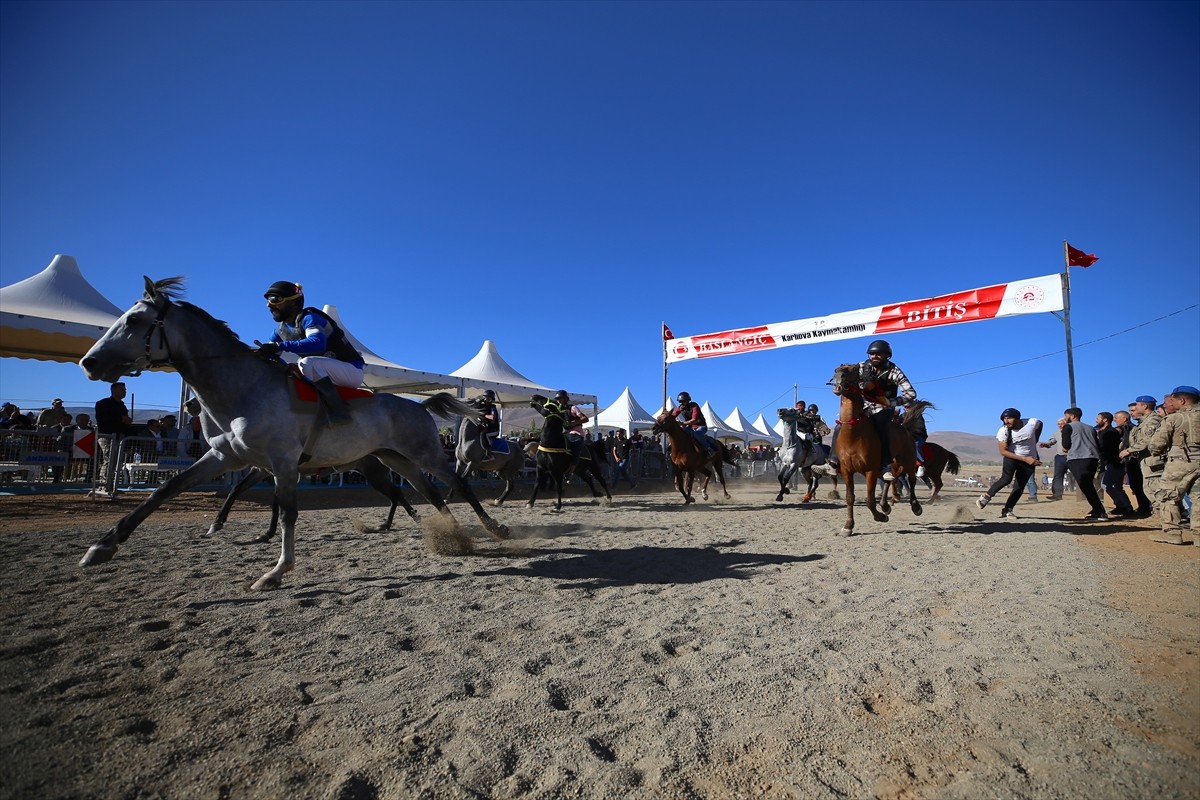 Bingöl'ün Karlıova ilçesine bağlı Toklular köyünde, Kaymakamlık tarafından geleneksel at yarışları...