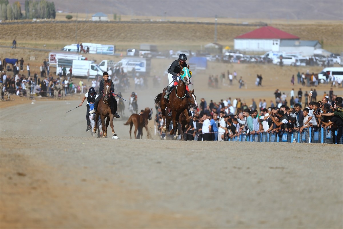 Bingöl'ün Karlıova ilçesine bağlı Toklular köyünde, Kaymakamlık tarafından geleneksel at yarışları...