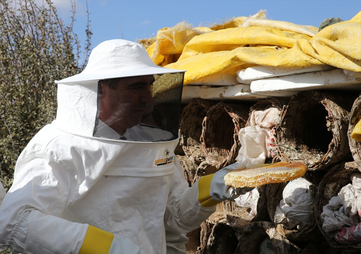 Bitlis Valisi Ahmet Karakaya (fotoğrafta), 2 bin 400 rakımlı Karçinbaşı bölgesinde karakovan...