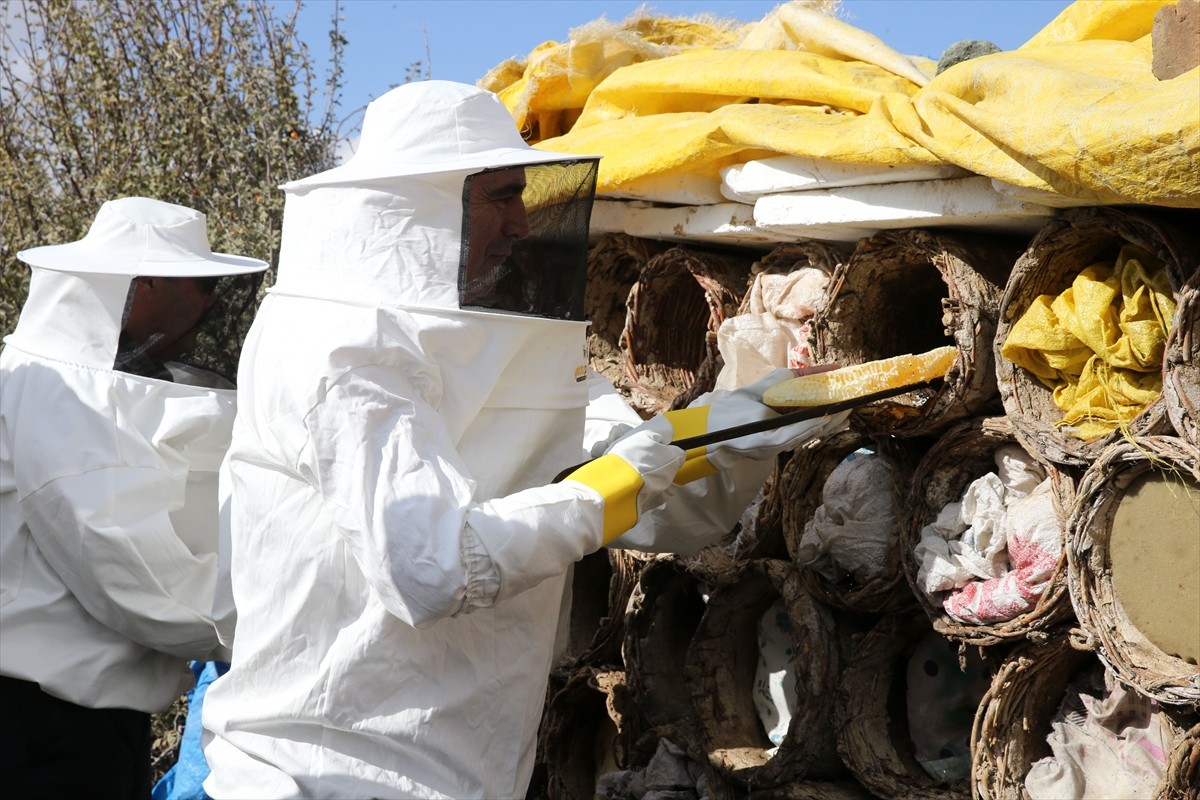 Bitlis Valisi Ahmet Karakaya (fotoğrafta), 2 bin 400 rakımlı Karçinbaşı bölgesinde karakovan...