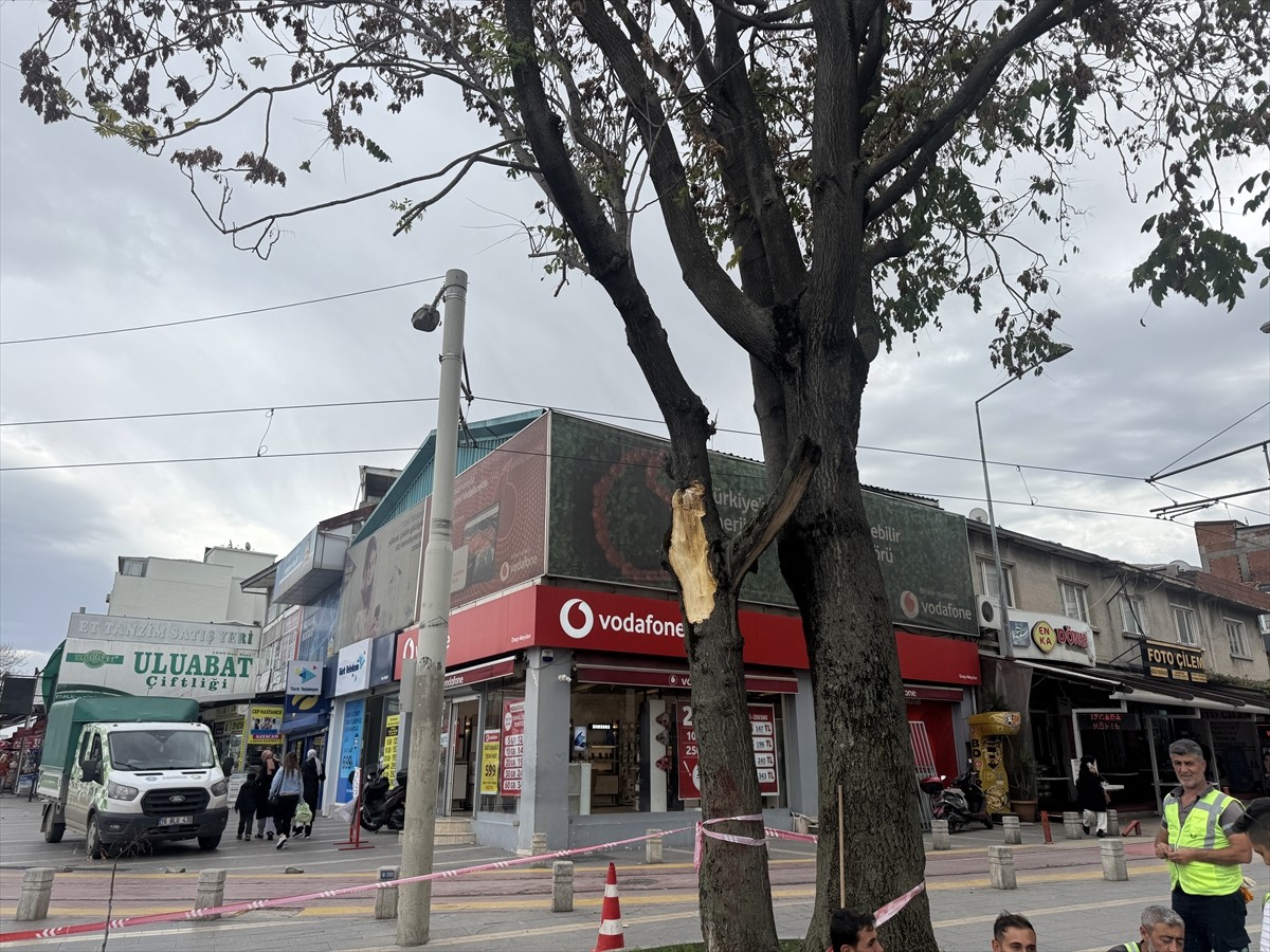 Bursa'da kuvvetli rüzgar, hayatı olumsuz etkiledi. Kent Meydanı'nda ise bir ağacın büyük dalı...