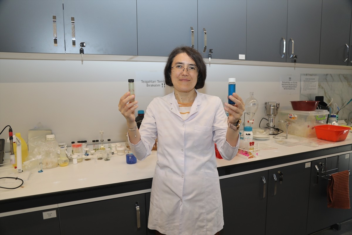 Bursa Teknik Üniversitesi (BTÜ) Mühendislik ve Doğa Bilimleri Fakültesi Kimya Mühendisliği Bölümü...