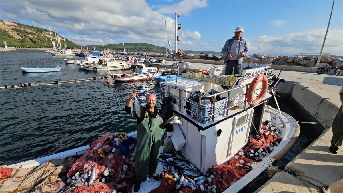 Çanakkale'nin Eceabat ilçesinde bir balıkçının lüfer avı için denize bıraktığı ağlara 1000 palamut...