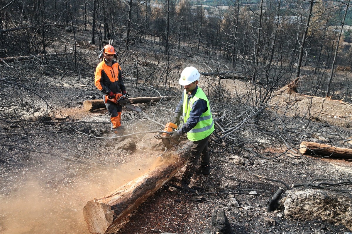 Denizli ve Uşak'ta, 2005-2024 yılları arasında meydana gelen orman yangınlarında zarar gören 6 bin...