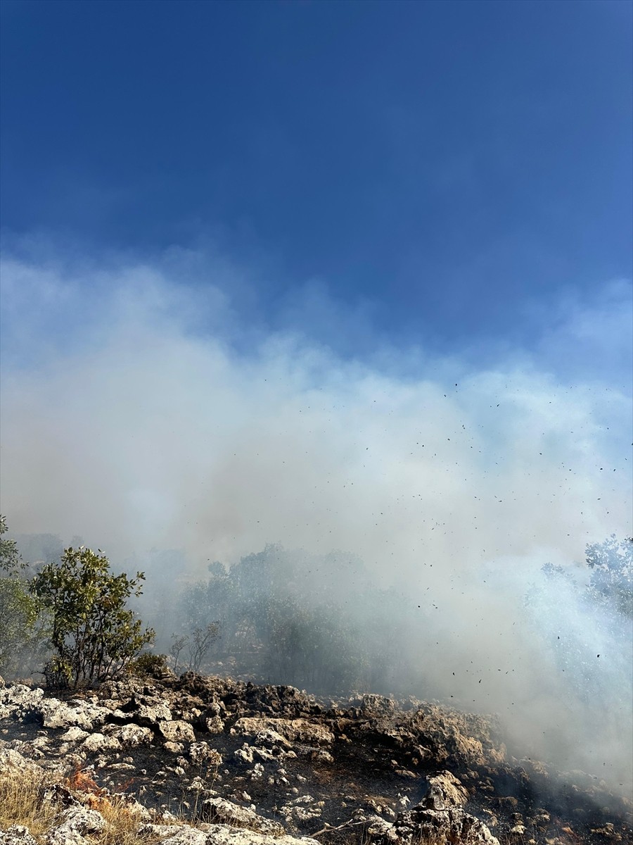 Diyarbakır'ın Dicle ilçesi kırsalında çıkan örtü yangınına müdahale ediliyor.