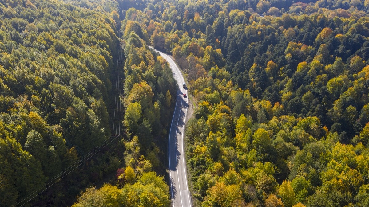 Doğal güzellikleriyle her mevsim ayrı güzelliğe bürünen Bolu'da, ormanlık alanlar sonbahar...