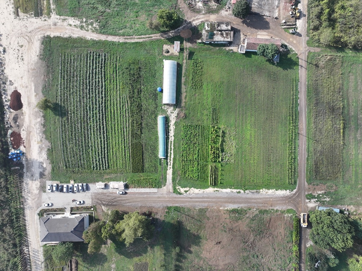 Düzce'de belediyenin öncülüğünde hayata geçirilen "Tarım Akademisi" projesiyle 2 yılda hem 200...