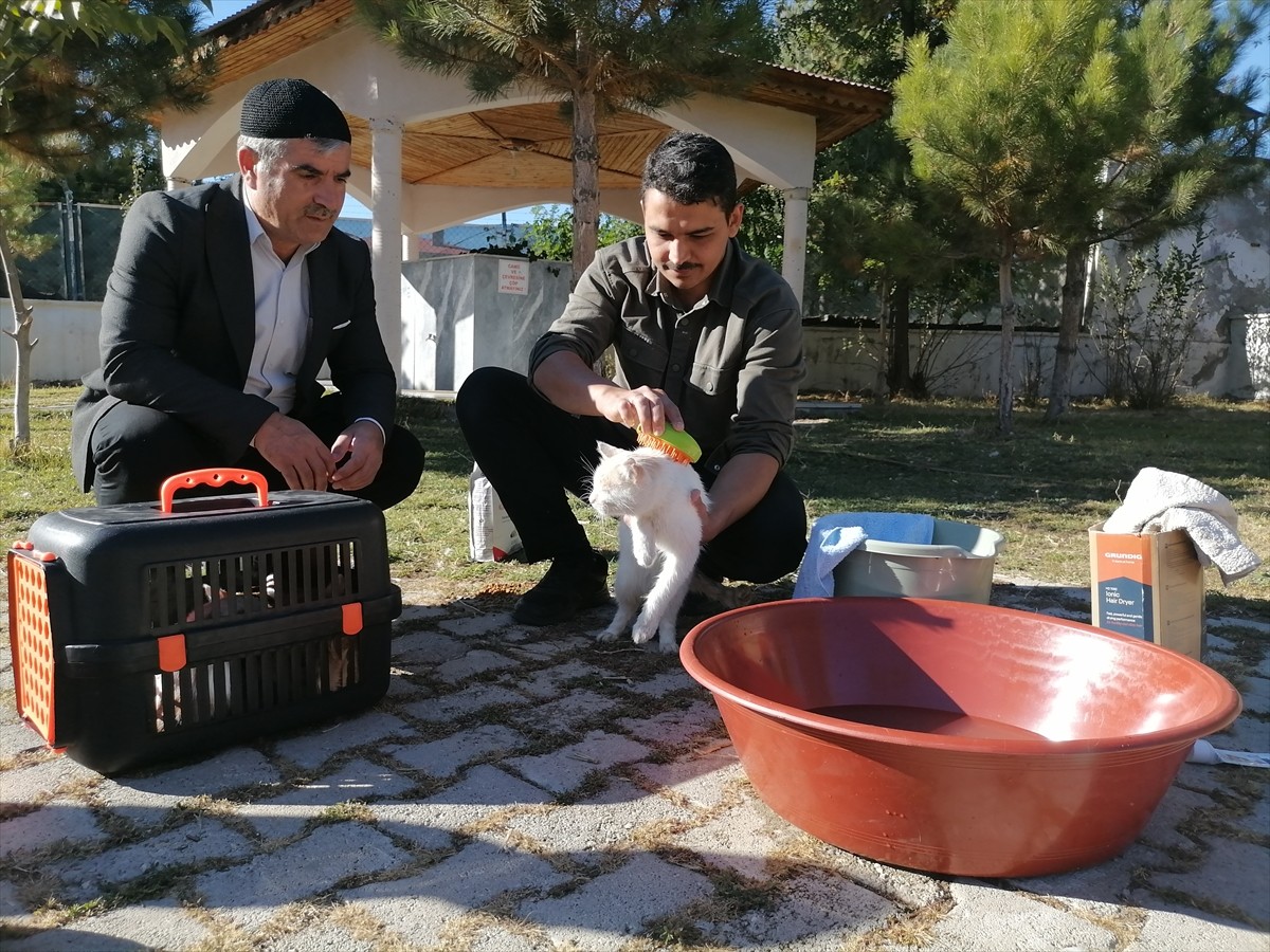 Erzurum'da cami bahçesinde sahip çıktığı kedileri leğende bebek gibi yıkayan imam, hayvan...
