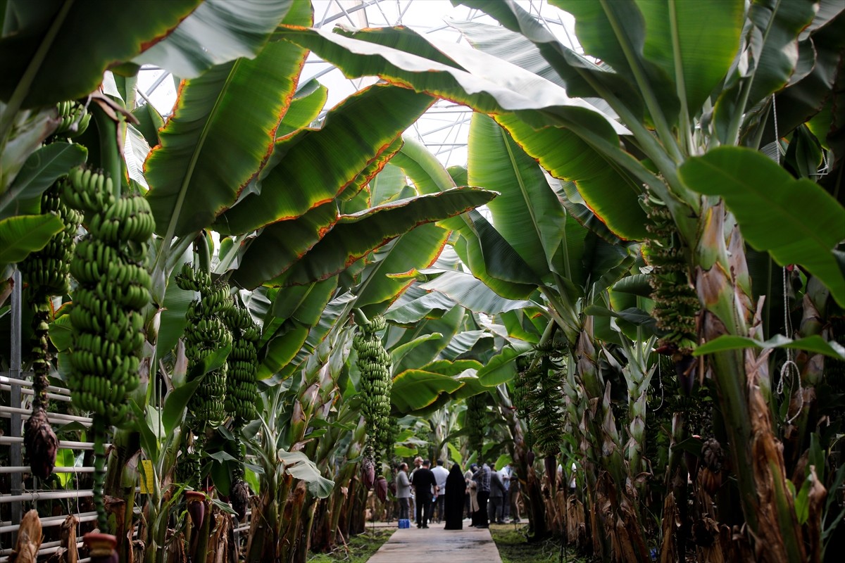 İran’ın kuzeybatısındaki Doğu Azerbaycan eyaletine bağlı Culfa kentinde, Azerbaycan ve Ermenistan...