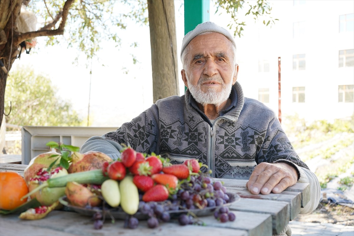 Isparta'nın Sav beldesinde yaşayan 85 yaşındaki İbrahim Çakmakçı, 30 yıldır bahçesindeki meyveleri...