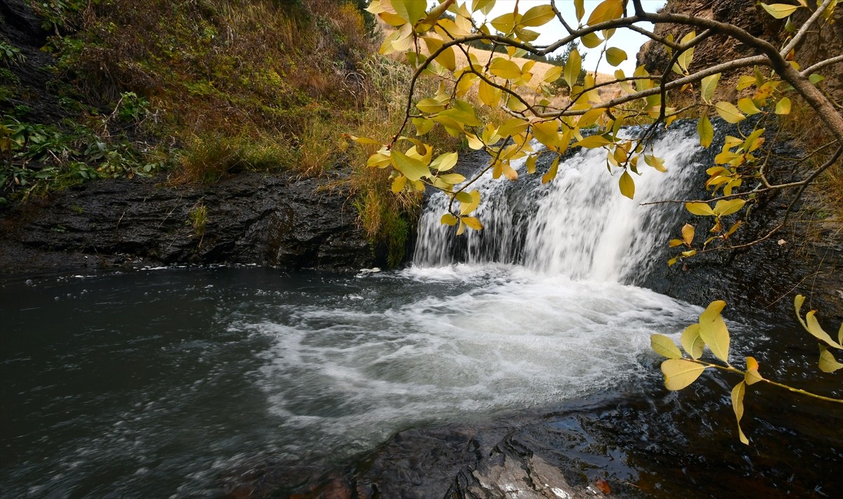 Kars'ın Sarıkamış ilçesindeki Keklik Vadisi, sonbaharda sarı ve kızılın tonlarına...