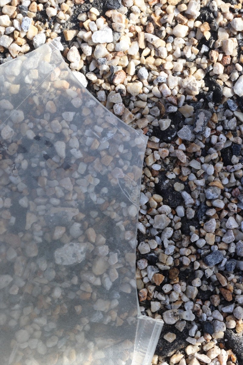 Kastamonu'da kullandığı minibüsle çarptığı kişinin ölümüne neden olan sürücü, polisin titiz...