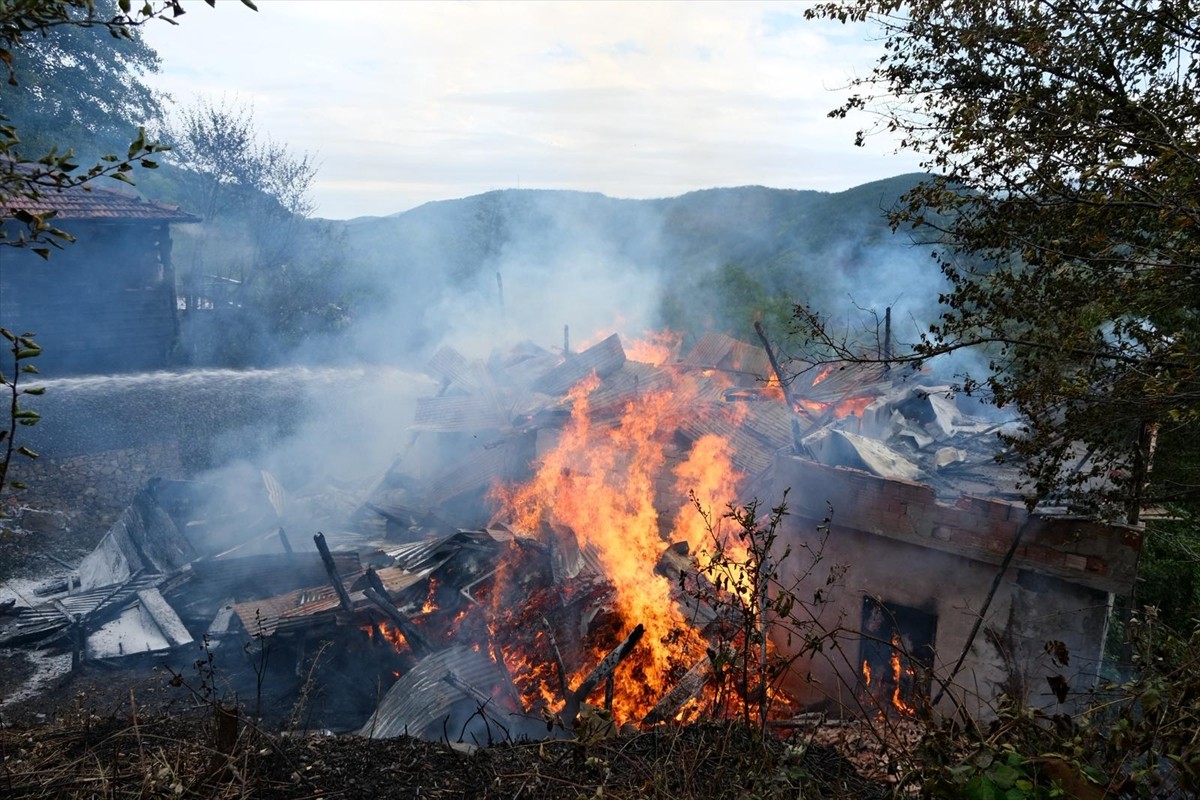 Kastamonu'nun Bozkurt ilçesinde çıkan yangında 2 ev zarar gördü.