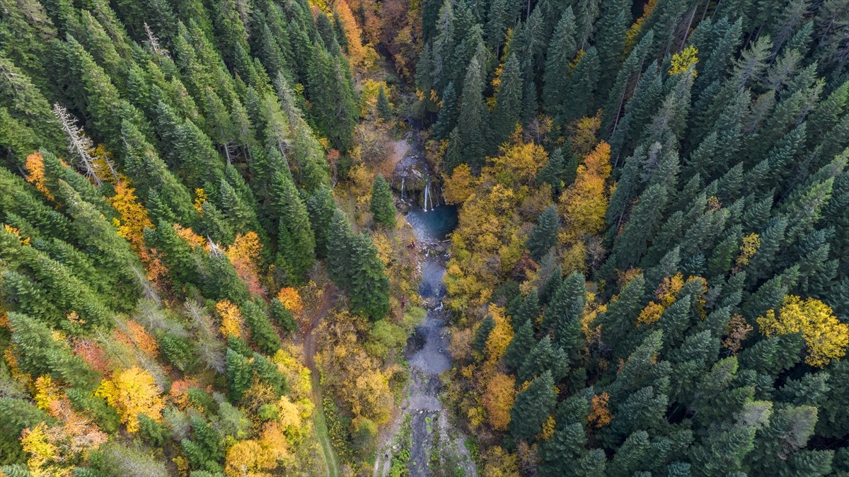 Kastamonu'nun doğal güzellikleriyle ünlü Azdavay ilçesindeki Saray Şelalesi'nde sonbaharın...
