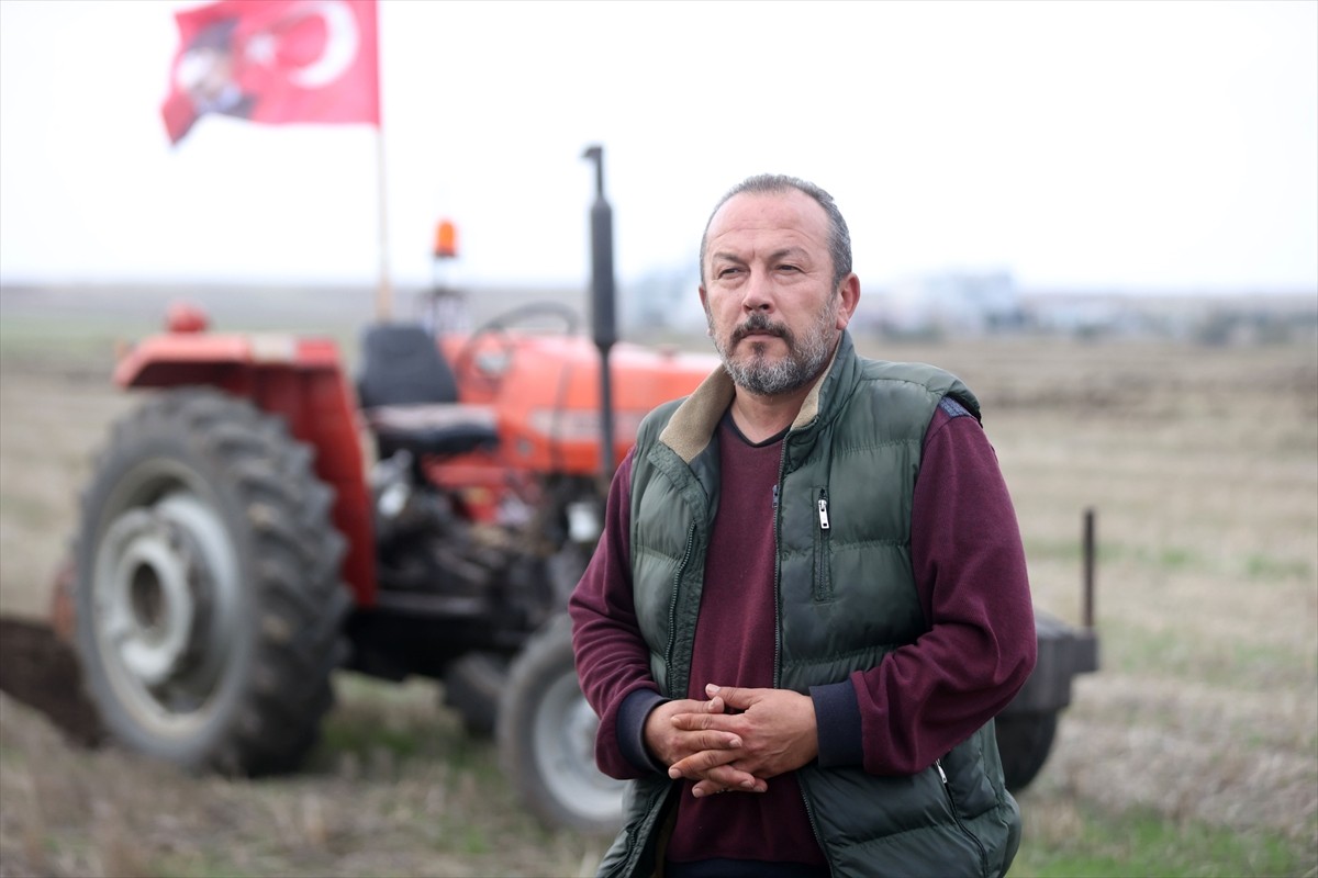 Kırklareli'nin Lüleburgaz ilçesine bağlı Evrensekiz beldesinde çiftçi Burak Tunçkol, tarlasına...