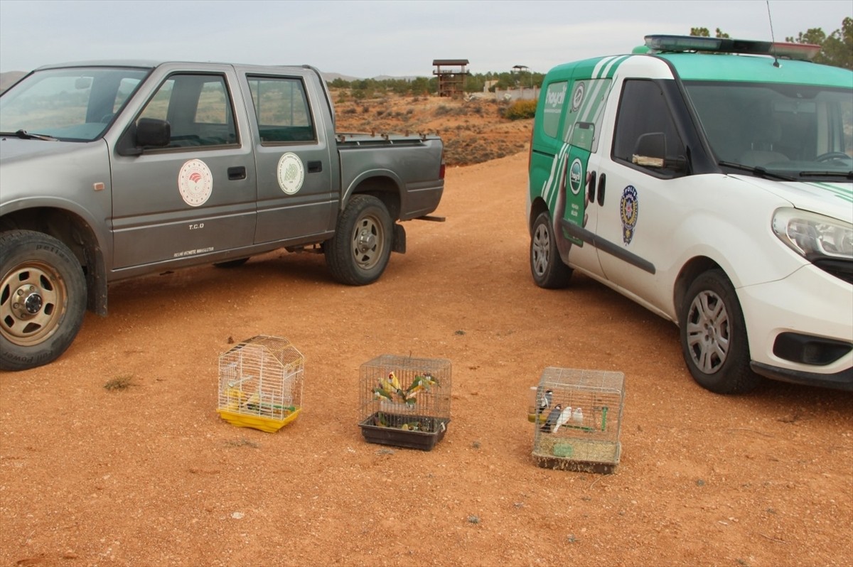 Kırşehir'de bir depoda koruma altındaki türlerden olduğu belirlenen 66 kuş ele geçirildi.