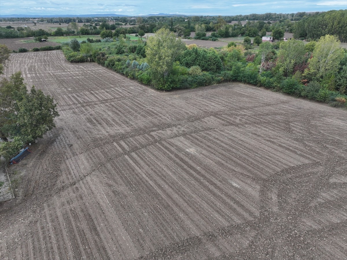Kuraklığın yaşandığı Trakya'da son günlerde etkili olan yağışlar, geçen yıl kuru toprağa ekim...