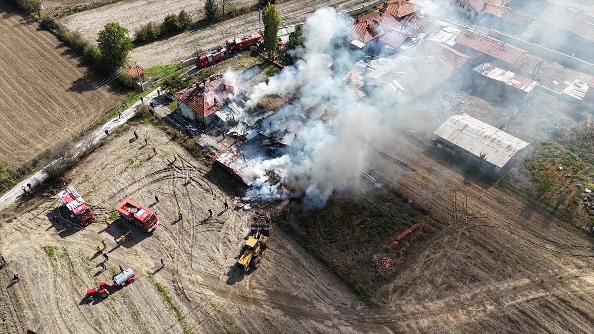 Kütahya'nın Domaniç ilçesindeki odunlukta başlayıp ev ile bahçesindeki araçlara sıçrayan yangın...