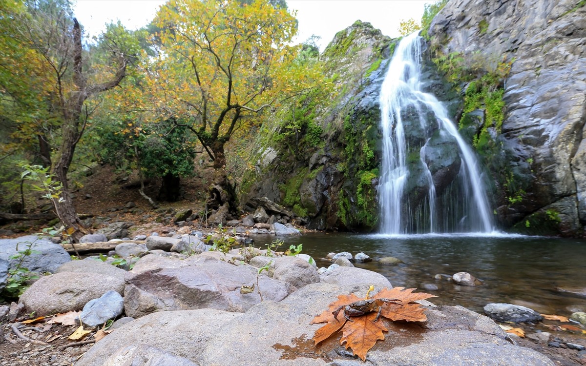 Manisa'nın kuzeyinde yer alan Yunt Dağları ile bölgedeki Türkmen Şelaleleri, sonbaharın renk...