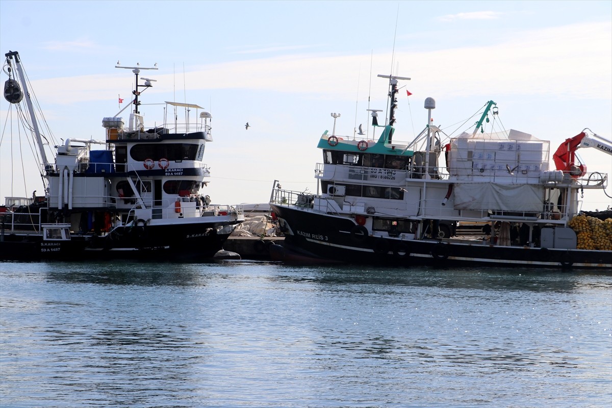 Marmara'da sezona lüfer avıyla başlayan balıkçılar, hava ve deniz suyu sıcaklıklarının artmasıyla...