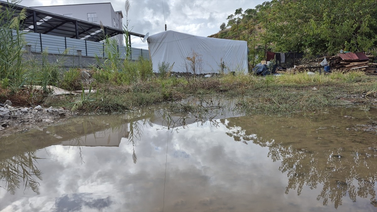 Muğla'nın Ortaca ilçesi Yerbelen Mahallesi'nde 12 kişinin yaşadığı 3 çadırı ilçede etkili olan...