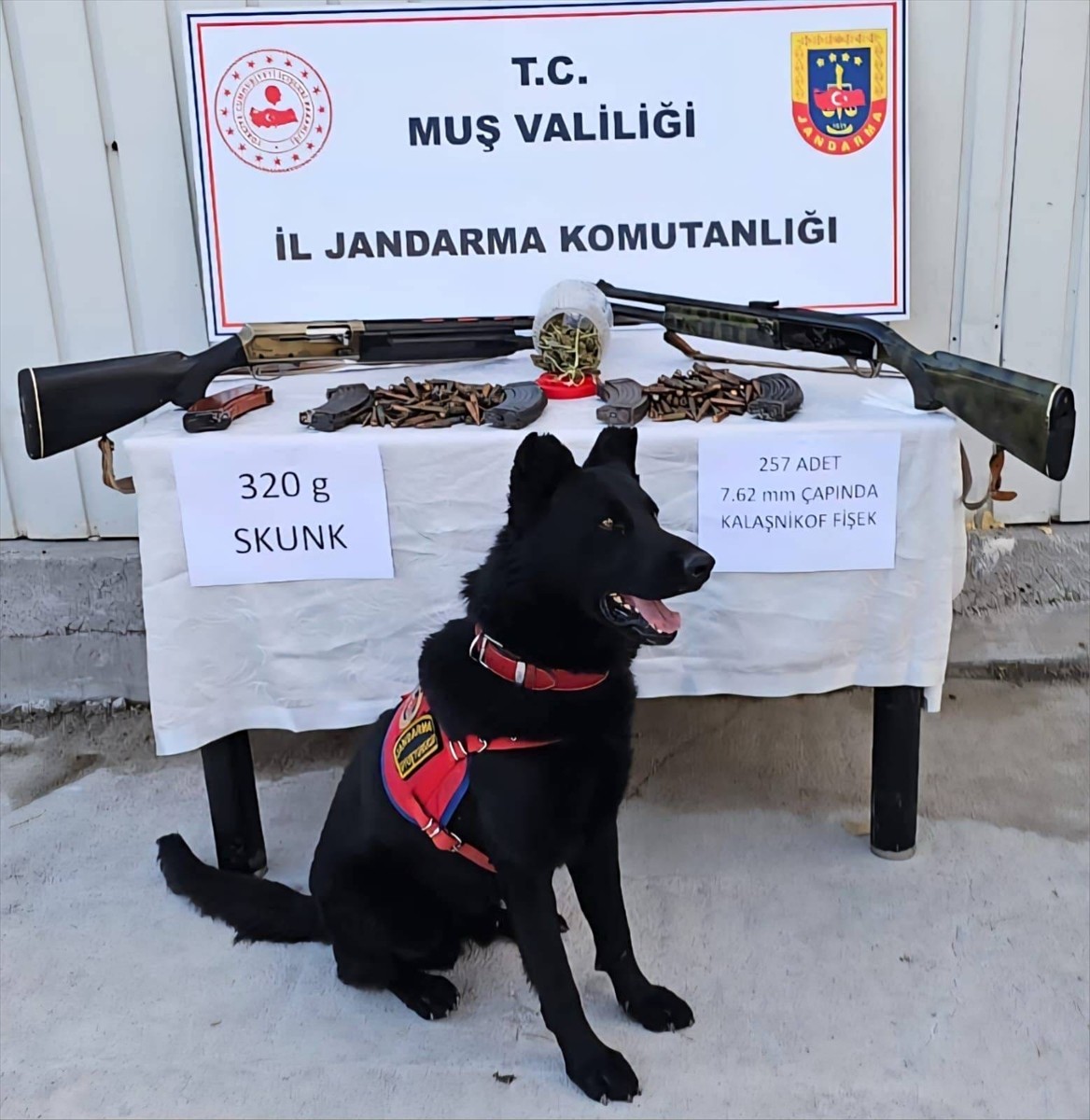 Muş'un Varto ilçesinde jandarma ekiplerince düzenlenen operasyonda, uyuşturucu, silah ve mühimmat...