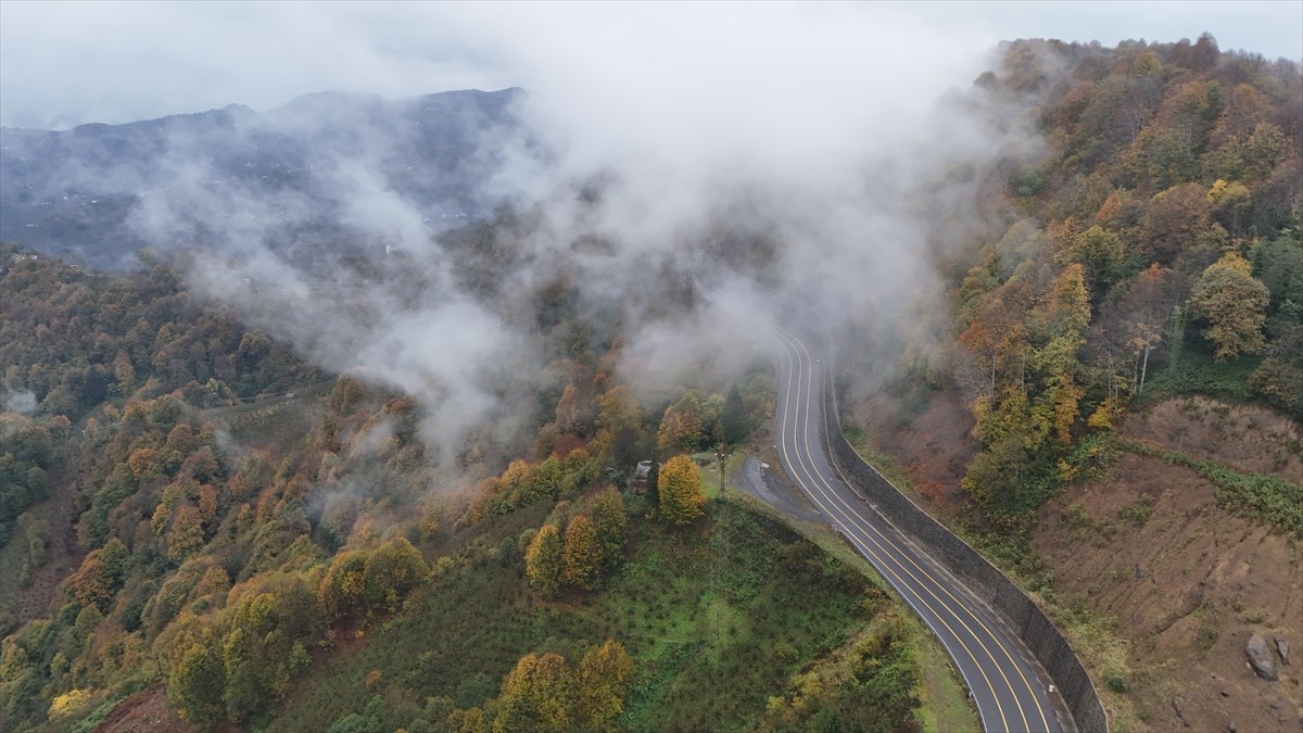 Ordu'nun yüksek kesimlerinde etkili olan sis, sonbahar renkleriyle güzel görüntü oluşturdu.
