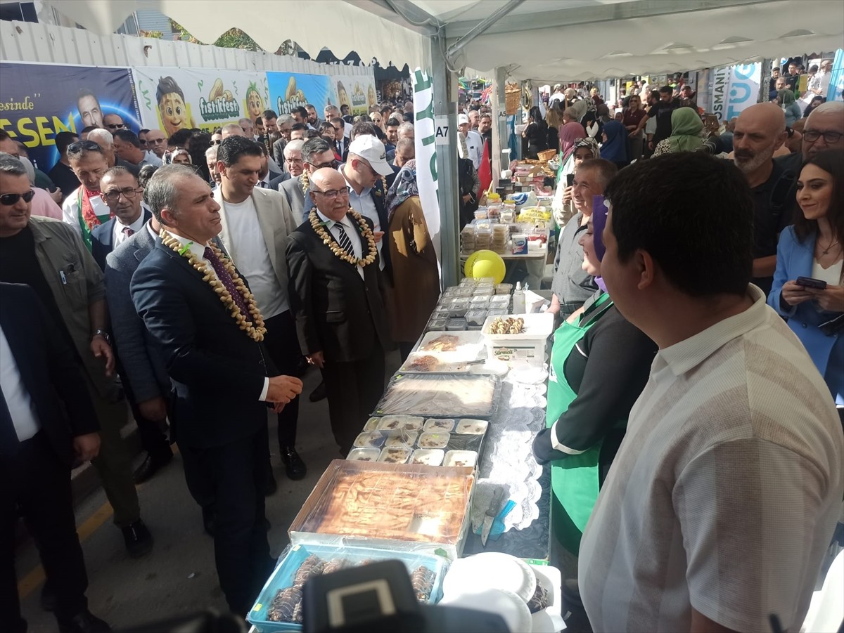 Osmaniye Belediyesince bu yıl ikincisi düzenlenen "Yer Fıstığı Festivali" kortej yürüyüşüyle...