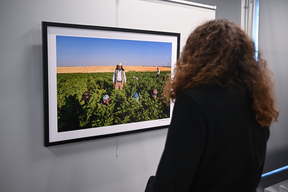 "15 Ekim Dünya Kadın Çiftçiler Günü" dolayısıyla sanatçı Dilek Yurdakul'un kadın mevsimlik tarım...