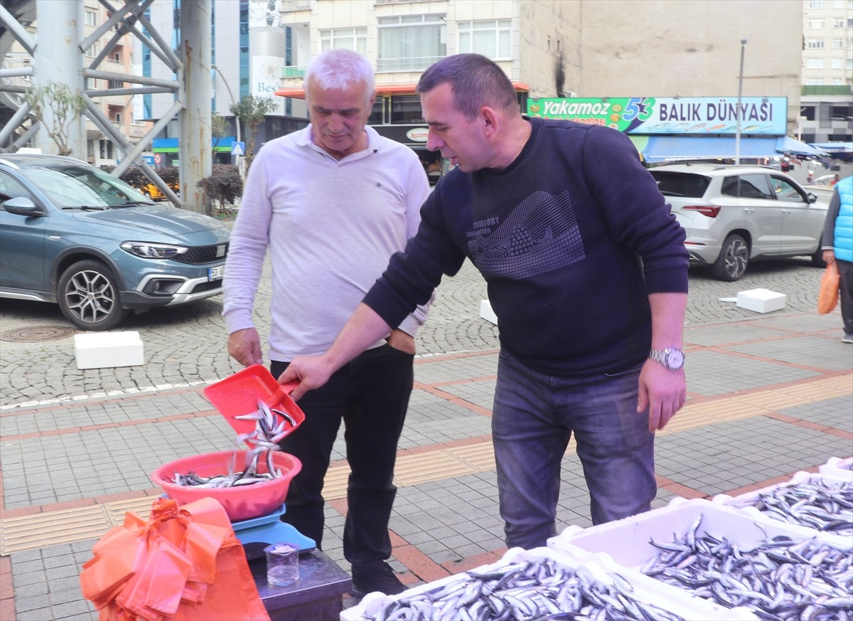 Rize'de hamsinin kilogramı 100 liradan satışa sunuldu. Vatandaşların en fazla hamsi talep ettiği...