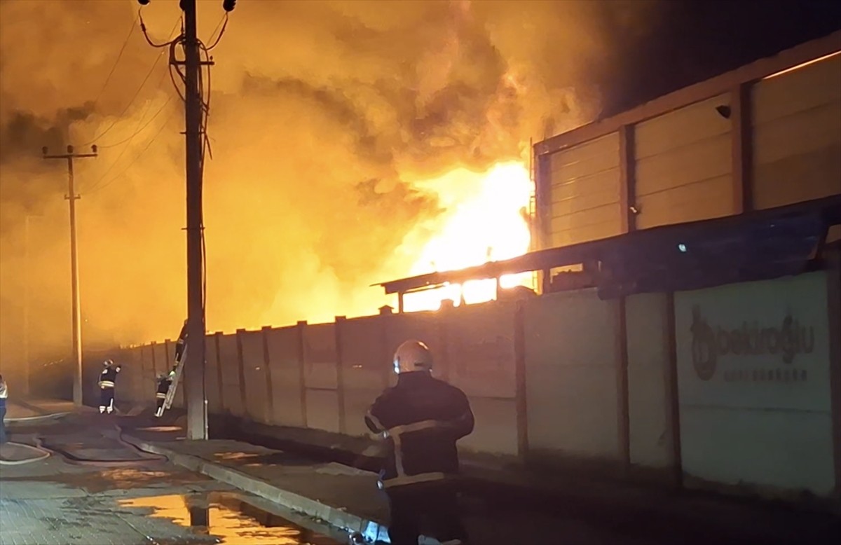Samsun'un Bafra ilçesinde geri dönüşüm fabrikasında çıkan yangına müdahale ediliyor.