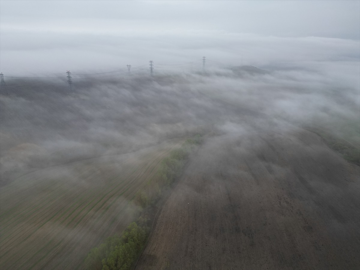 Tekirdağ'da sis nedeniyle görüş mesafesi yer yer 50 metrenin altına düştü.