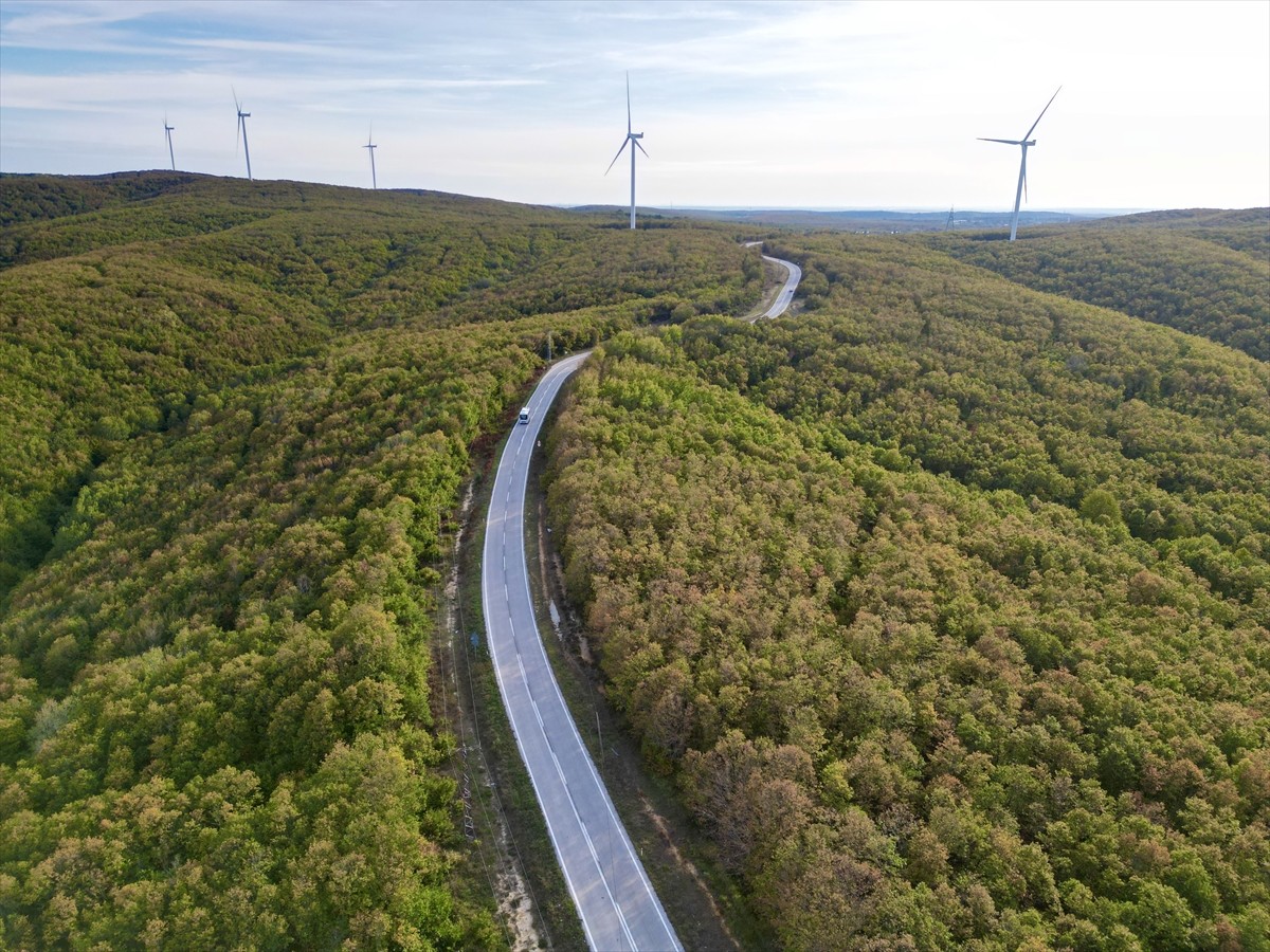 Tekirdağ'ın Saray ilçesinde ormanlık alanlarda sonbaharın renkleri hakim oluyor. Kanara Kanyonu...