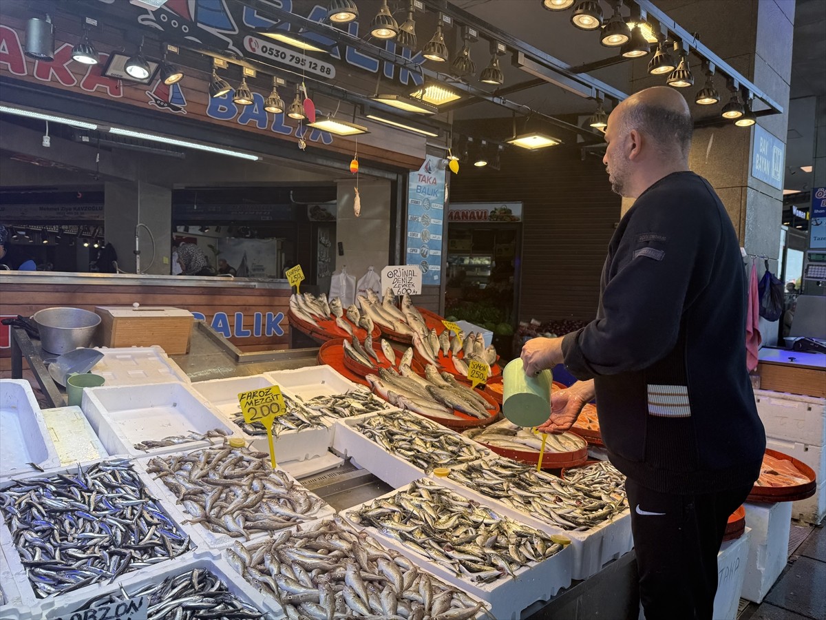 Trabzon'daki balıkçı tezgahlarını süsleyen istavrit, 100 liradan satışa sunuluyor.