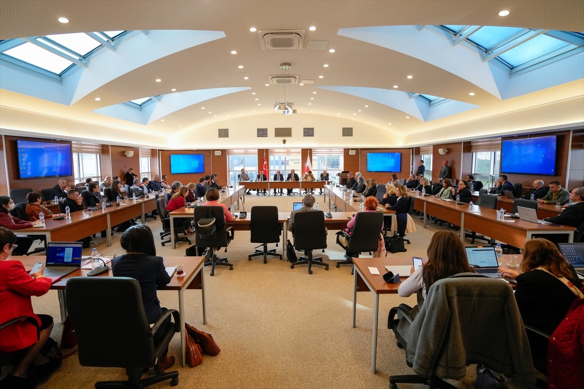 Türk Standardları Enstitüsü (TSE), Hacettepe Üniversitesi Eğitim Fakültesine ISO 9001 Kalite...