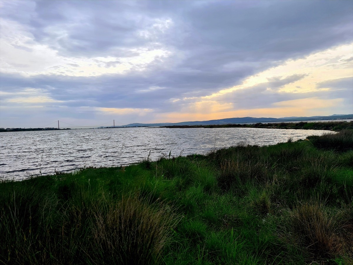 Türkiye'nin zengin ekosistemine değer katacak Bingöl, Çanakkale ve Bilecik'teki 5 yer, "Mahalli...