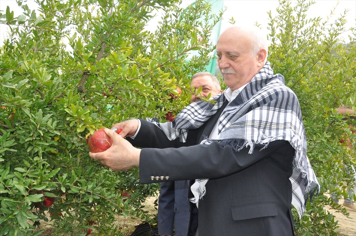 Türkiye Ziraat Odaları Birliği (TZOB) Genel Başkanı Şemsi Bayraktar (fotoğrafta), İzmir'in...