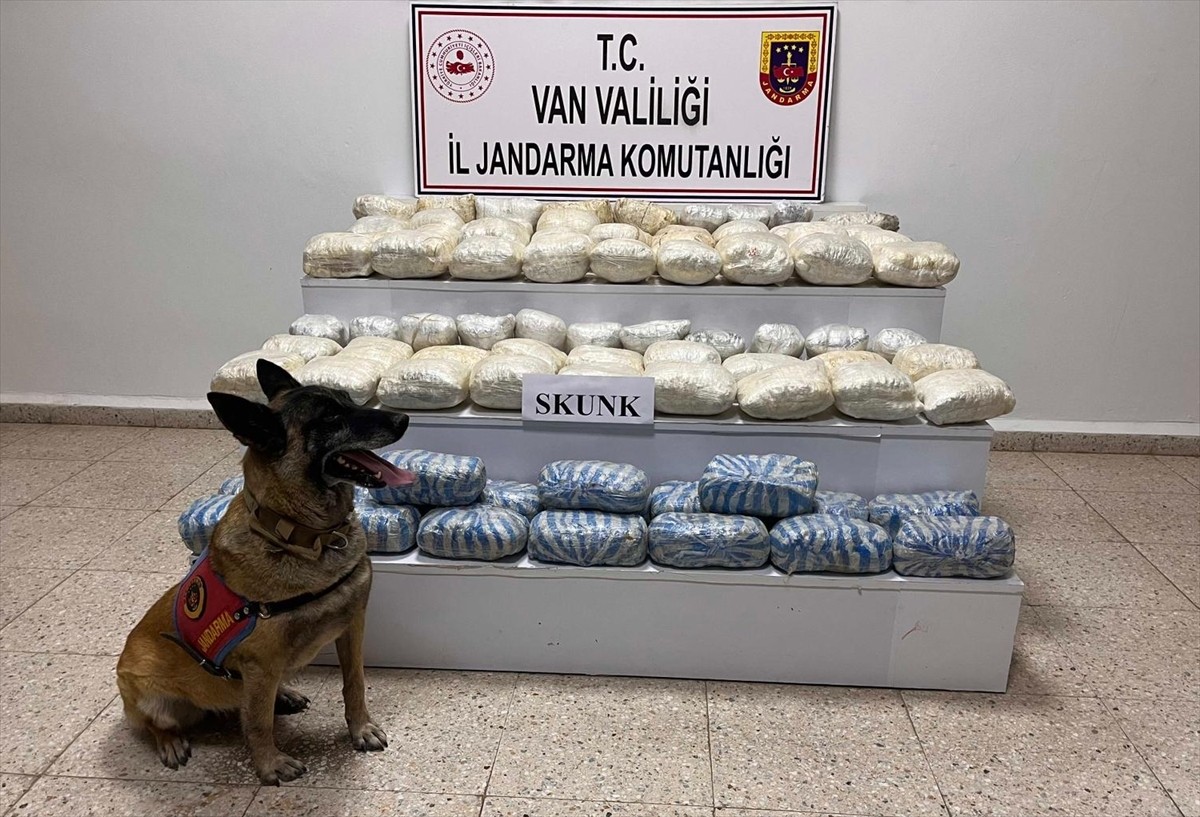  Van'ın Başkale ilçesinde düzenlenen operasyonda 47 kilo 800 gram skunk ele geçirildi, bir şüpheli...