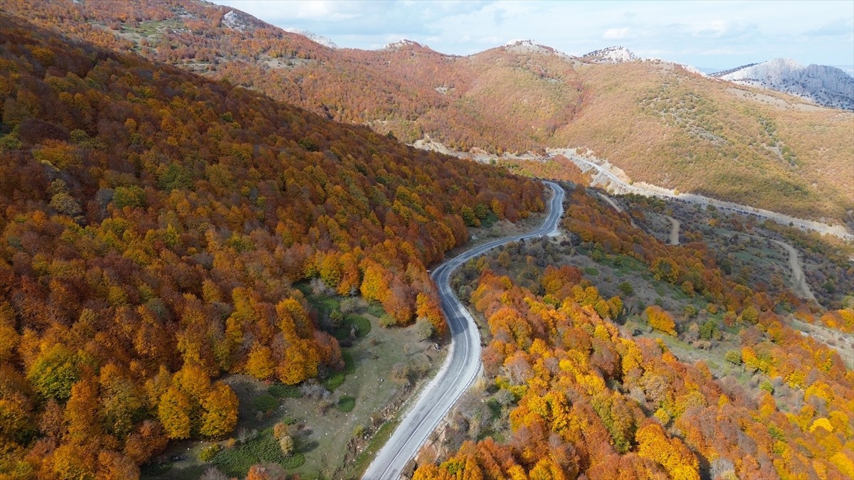 Yozgat'ın Aydıncık ilçesinde, yaklaşık 1550 rakımda yer alan Şebek Geçidi, barındırdığı ormanlık...