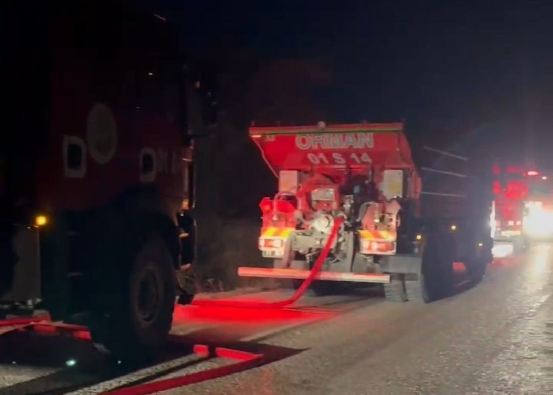 ADANA'DA GECE ÇIKAN ORMAN YANGINI EKİPLERİN MÜDAHALESİYLE BÜYÜMEDEN SÖNDÜRÜLDÜ.