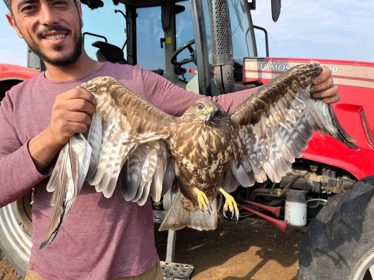ADANA’NIN CEYHAN İLÇESİNDE YER FISTIĞI HASADI YAPAN BİR ÇİFTÇİ, TARLADA UÇAMAYAN BİR ŞAHİN GÖRÜNCE...