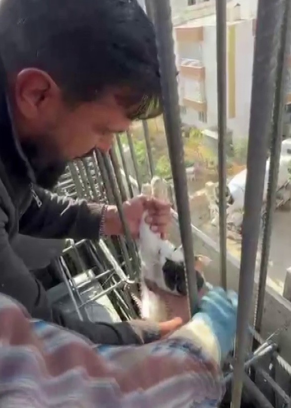 ADIYAMAN’DA, BİR İNŞAATIN KİRİŞ DEMİRLERİ ARASINA GİREN VE BURADA SIKIŞARAK ÇIKAMAYAN KEDİ, BETON...