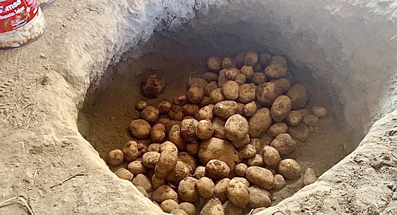 AĞRI’DA KIŞLIK PATATESLER GELENEKSEL YÖNTEMLE TOPRAĞA GÖMÜLEREK KORUNUYOR