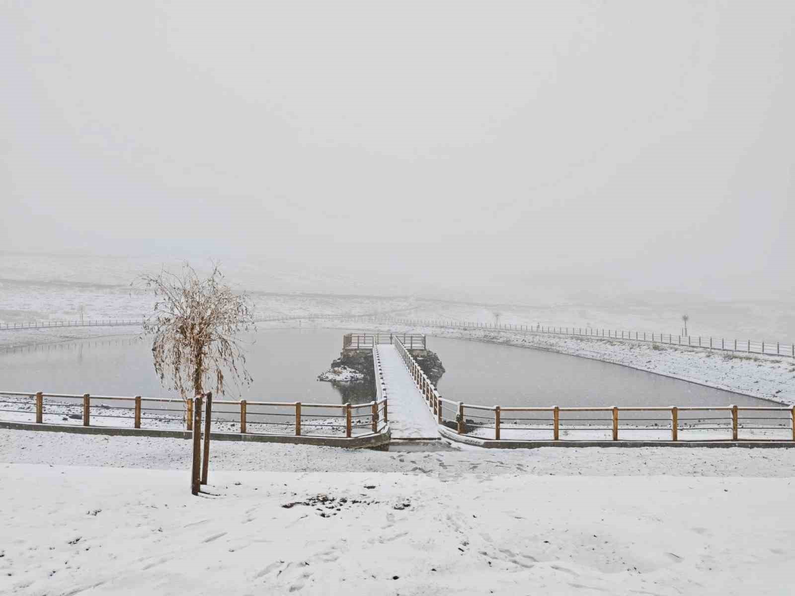 AKKUŞ İLÇESİ ARGAN YAYLASI'NDAN FOTOĞRAFLAR
