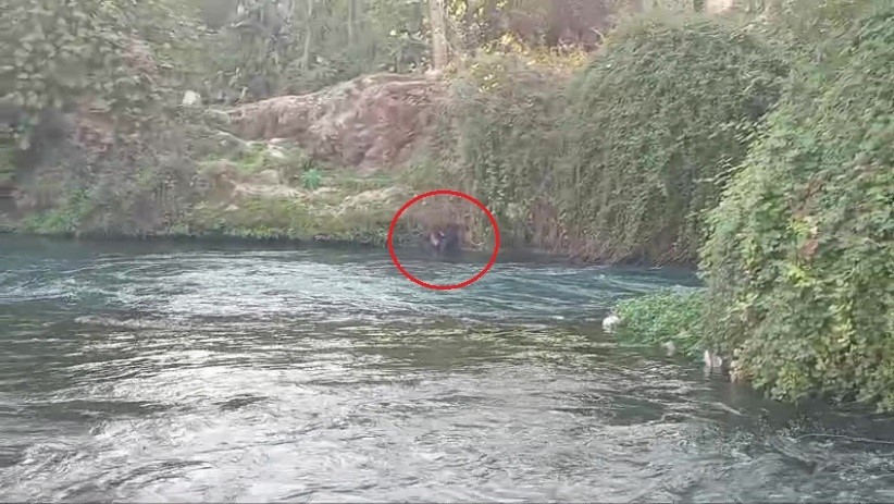 ANTALYA’DA DENGESİNİ KAYBEDEREK DÜDEN ÇAYINA DÜŞEREK AKINTIYLA BİR SÜRE SÜRÜKLENEN VE GÜÇLÜKLE...