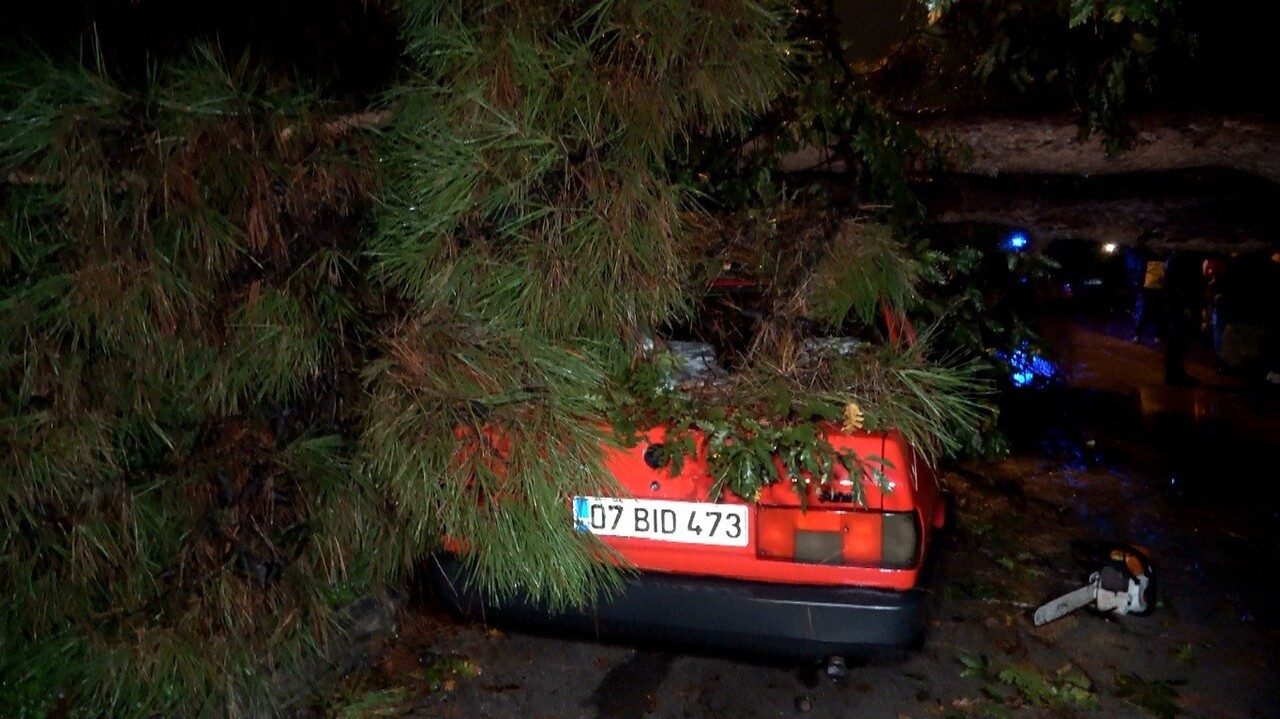 ANTALYA’DA ETKİLİ OLAN YAĞIŞ, DAHA ÖNCE ŞİKÂYET EDİLDİĞİ BELİRTİLEN AĞACIN DEVRİLMESİNE YOL AÇTI;...